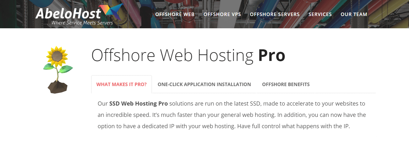 AbeloHost Offshore Web Hosting