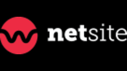 netsite logo rectangular
