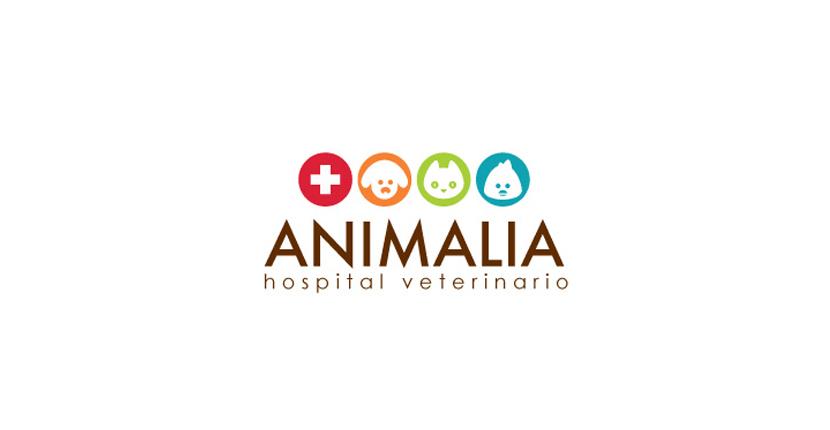 Medical logo - Animalia