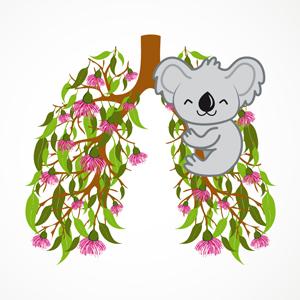 Medical logo - Koala