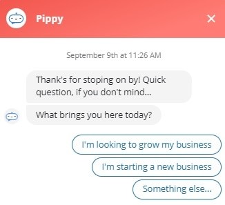 FitTech Hosting Pippy 1
