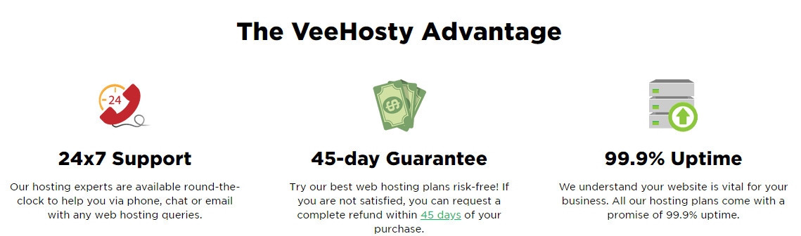 VeeHosty features