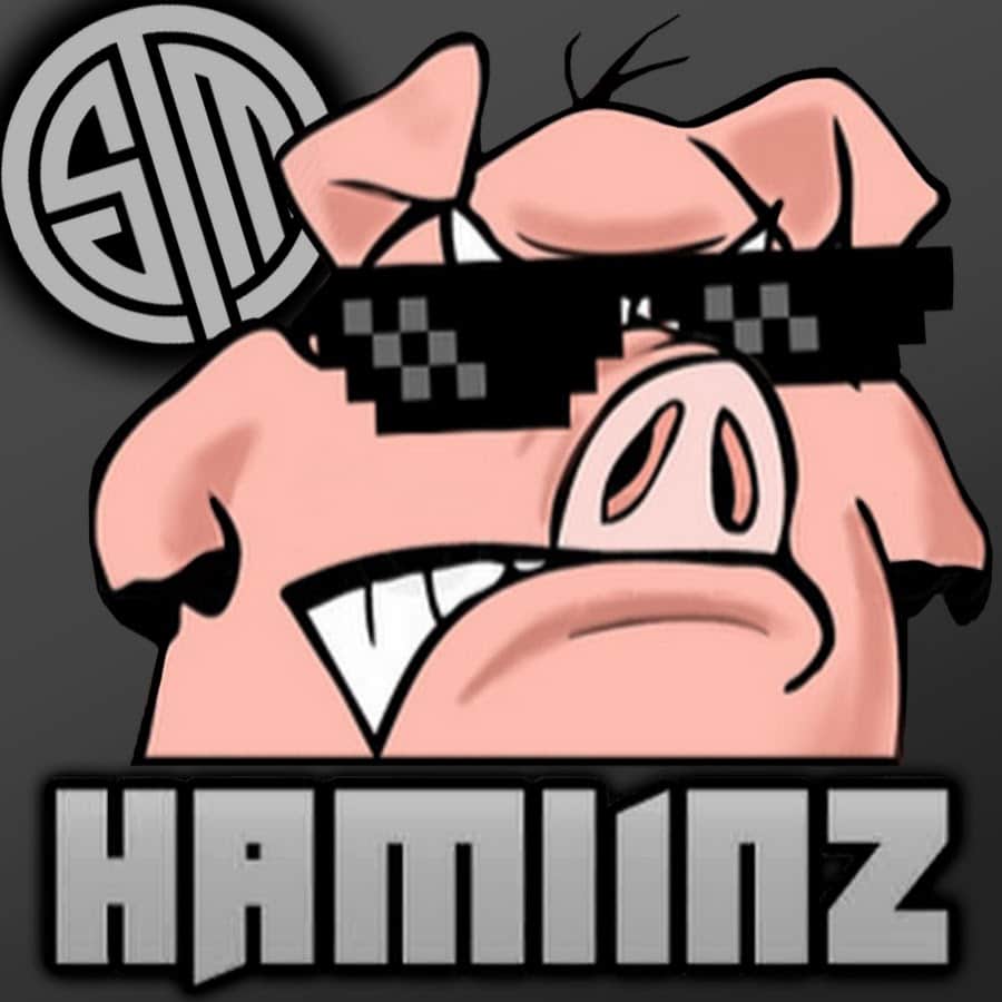 Fortnite logo - Haminz