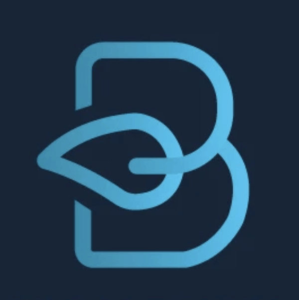 Letter logo - B