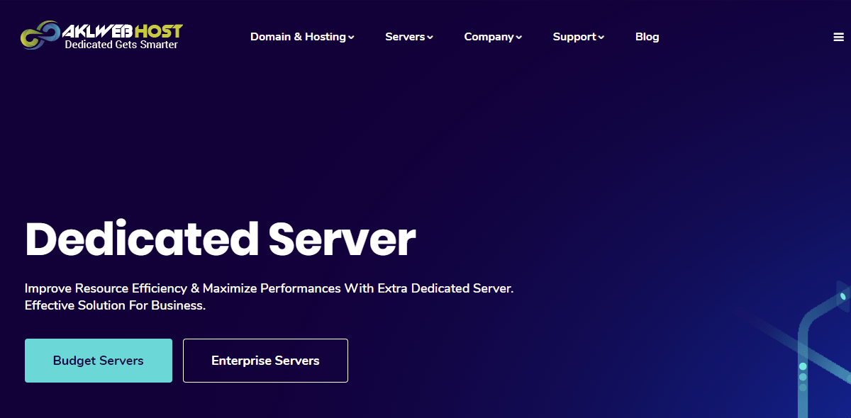Affordable Website Hosting Cheap Domains SSD VPS Server