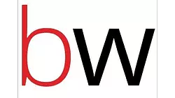 buzinessware-alternative-logo