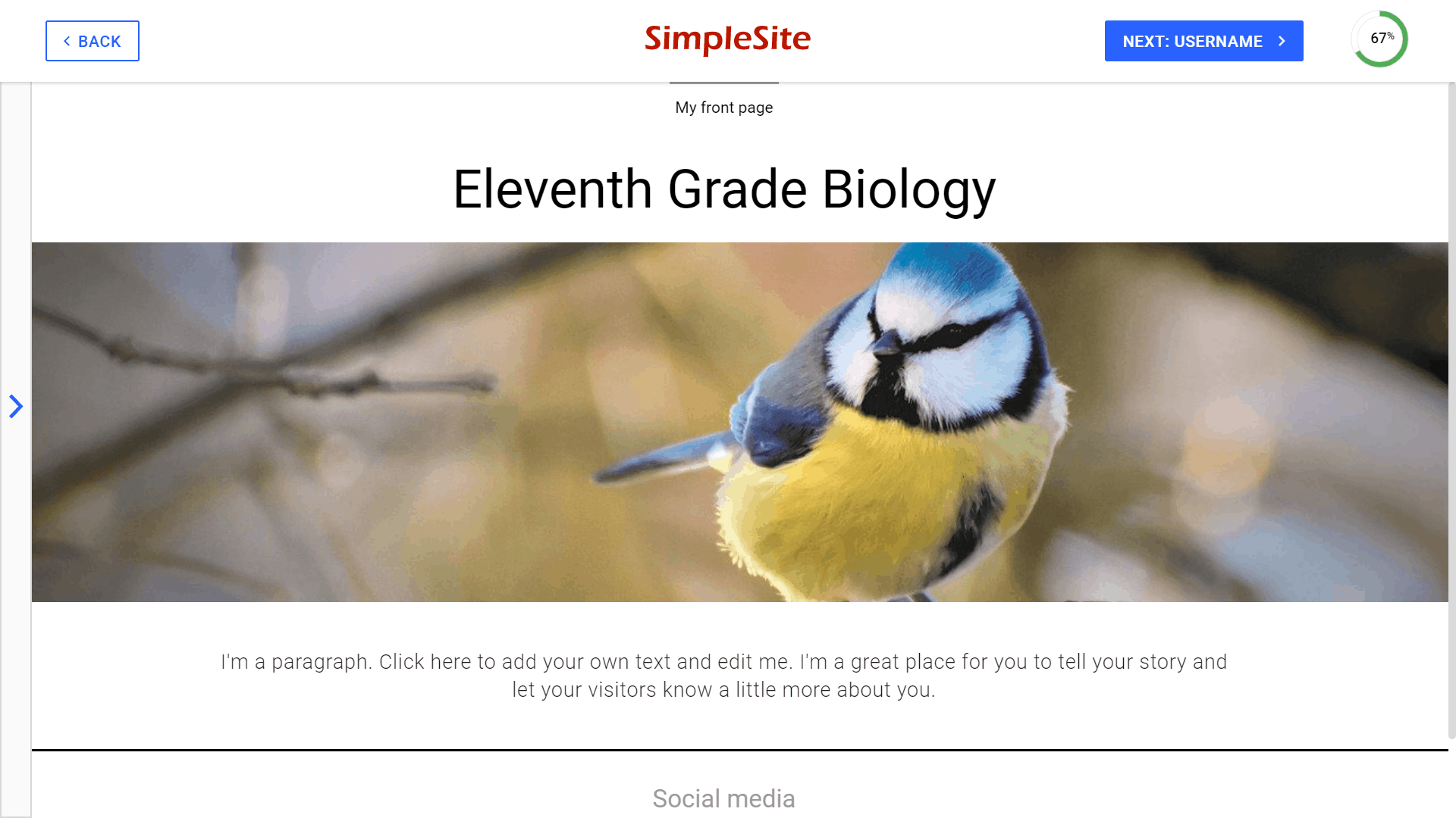 SimpleSite website editor