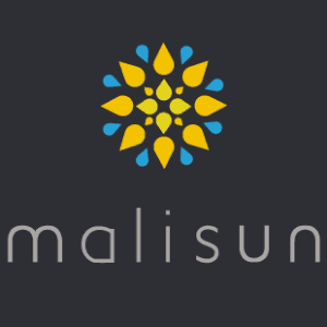 Best Sun Logos and How to Make Your Own for Free-image8