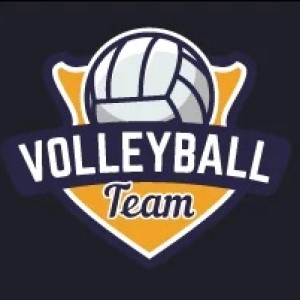 Volleyball logo - Volleyball team