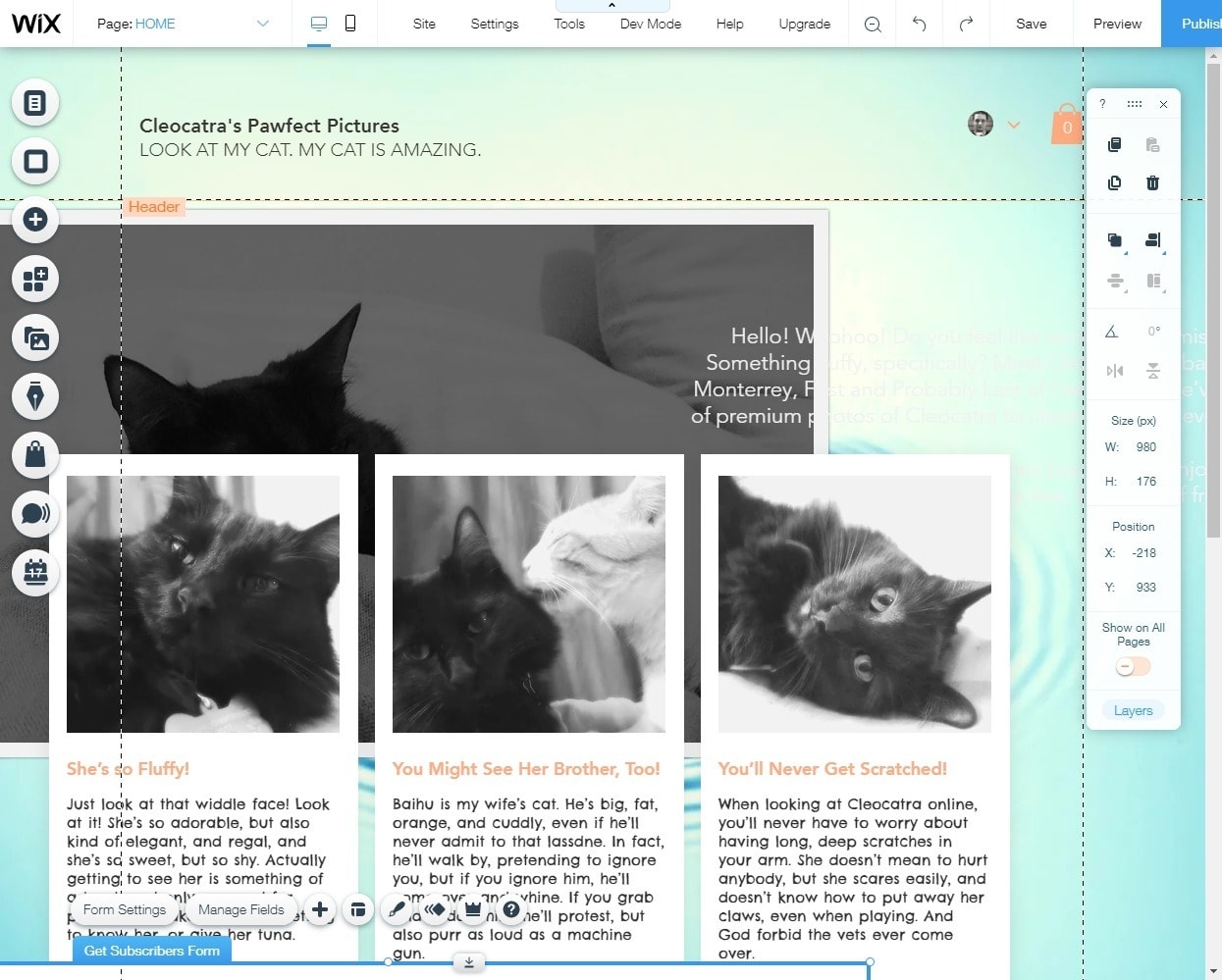 Wix lets you move elements anywhere on your page