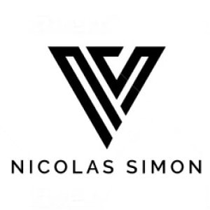 Triangle logo - Nicolas Simon