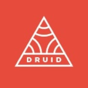 Triangle logo - Druid