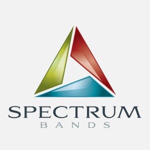 Triangle logo - Spectrum