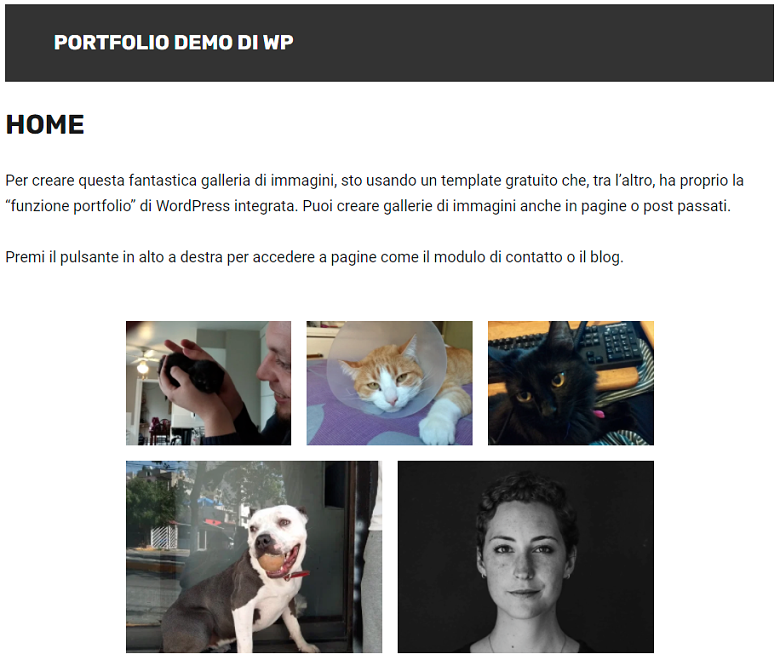 WordPress