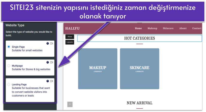 SITE123 editor showing website type settings