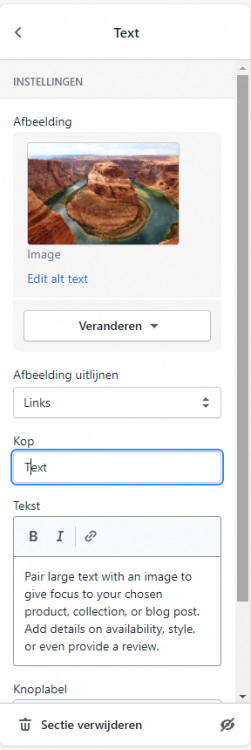 Shopify page editor