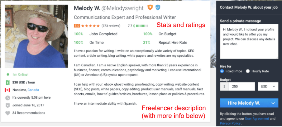 An example of a freelancer profile on Freelancer.com