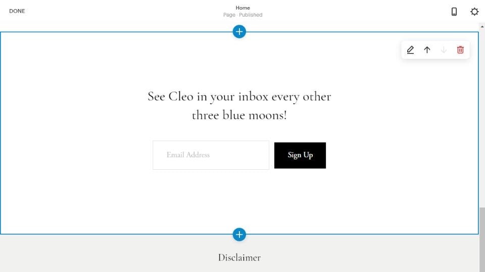 Squarespace newsletter signup form block