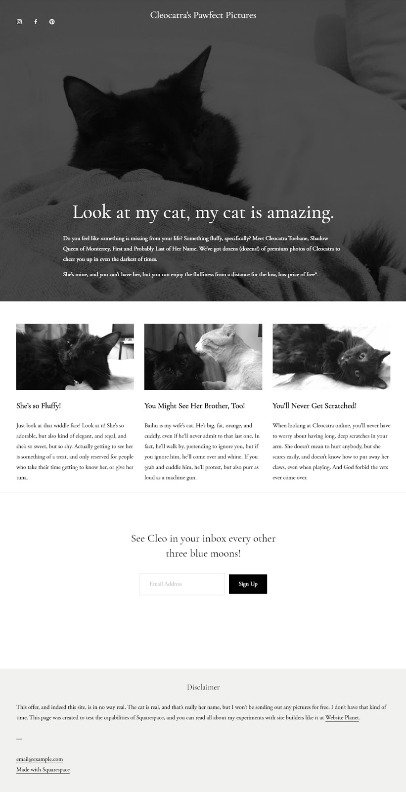 The completed Squarespace site