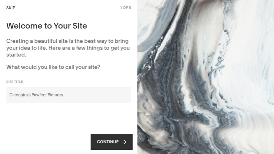 Site title screen in Squarespace