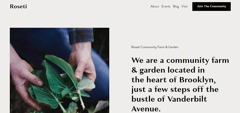 squarespace's-roseti-homepage