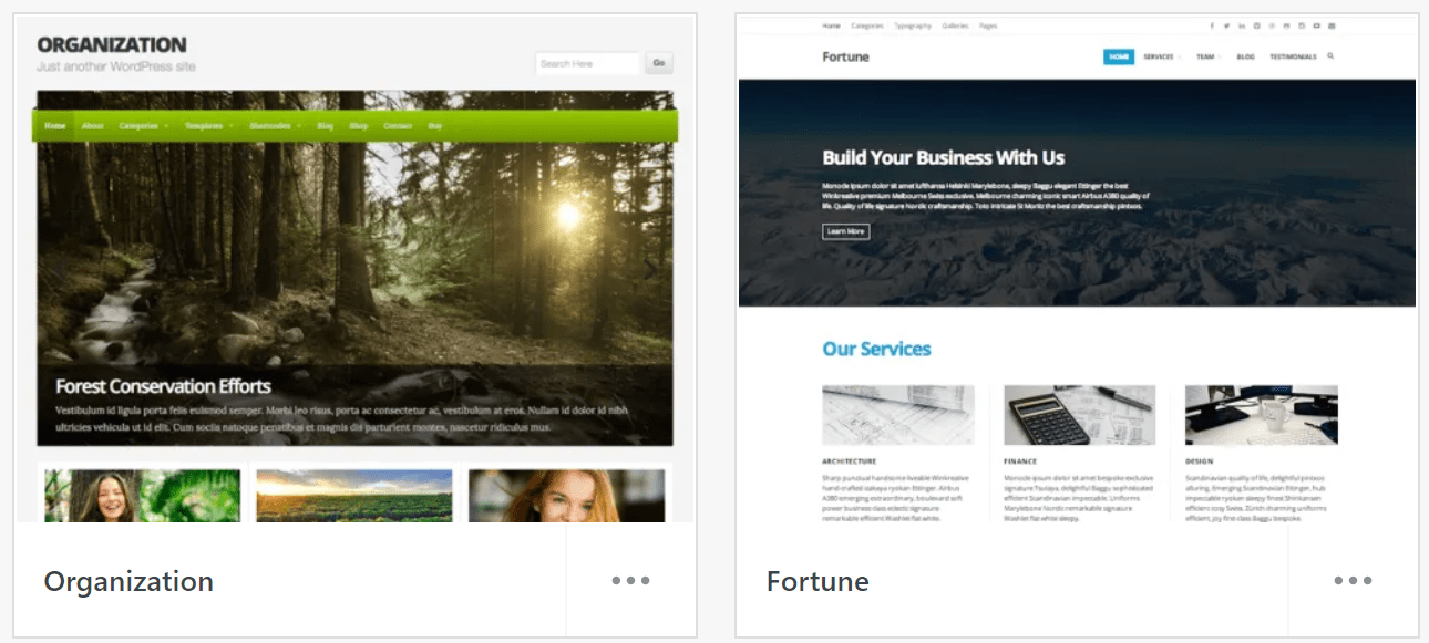 WordPress themes Organization and Fortune