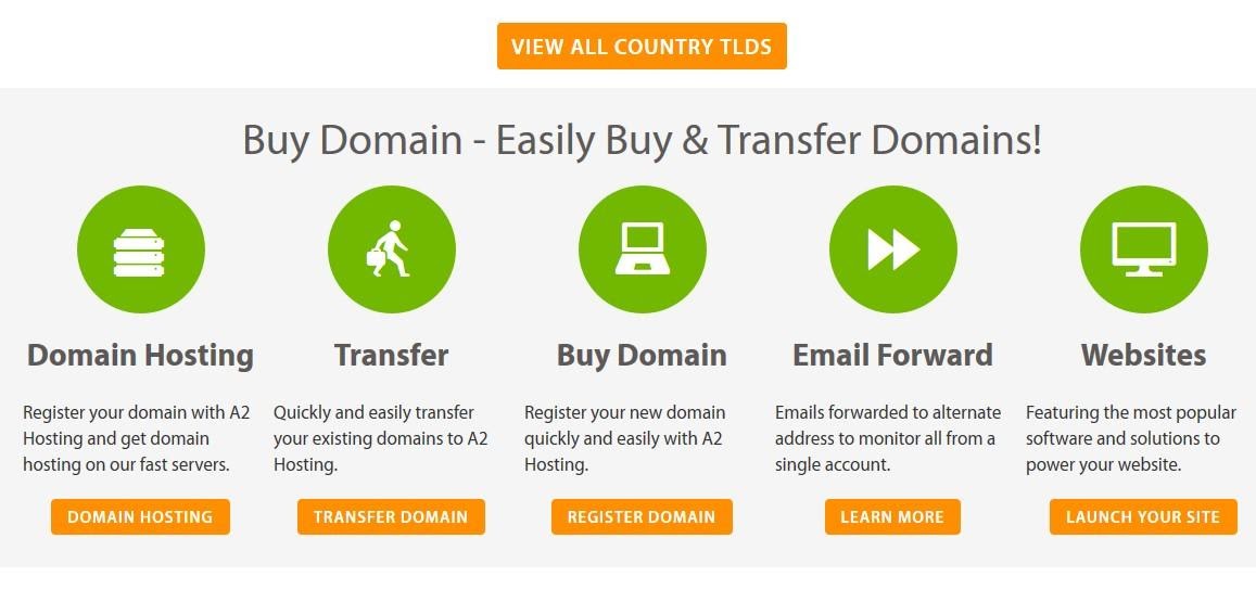 A2 Hosting - domain options