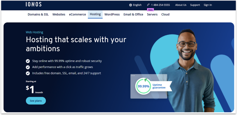 IONOS Hosting Homepage.