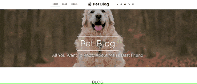Pet blog template - SITE123