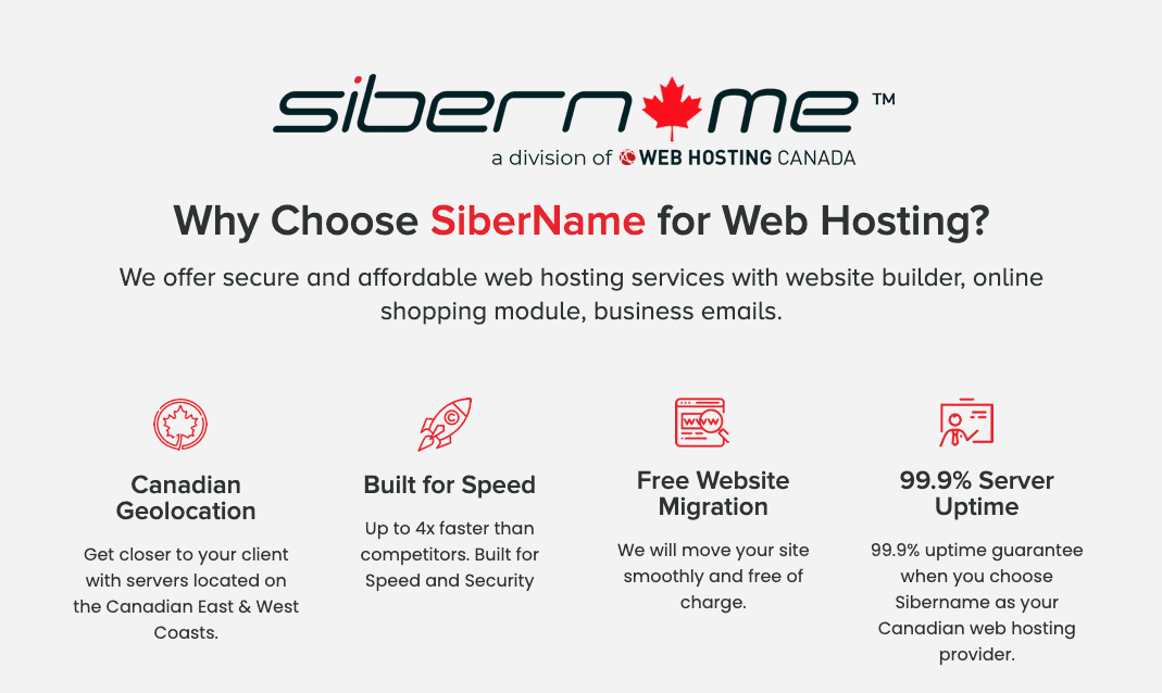 SiberName hosting features