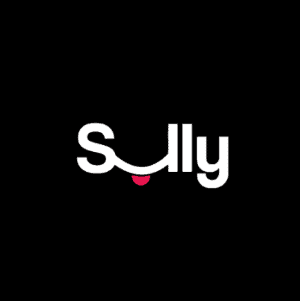 Simple logo - Sully