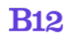 b12-alternative-logo
