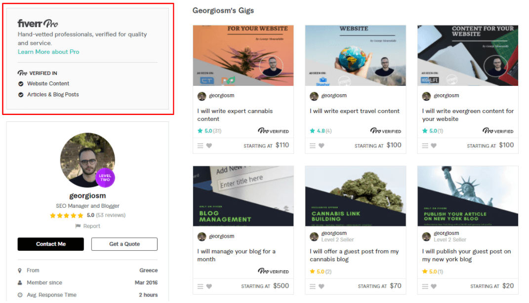 Fiverr Pro seller profile