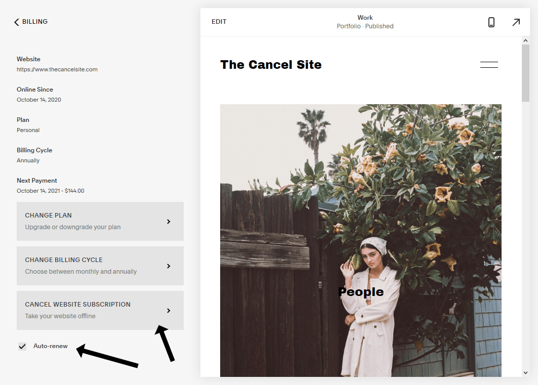 The Cancel Website Subscription button