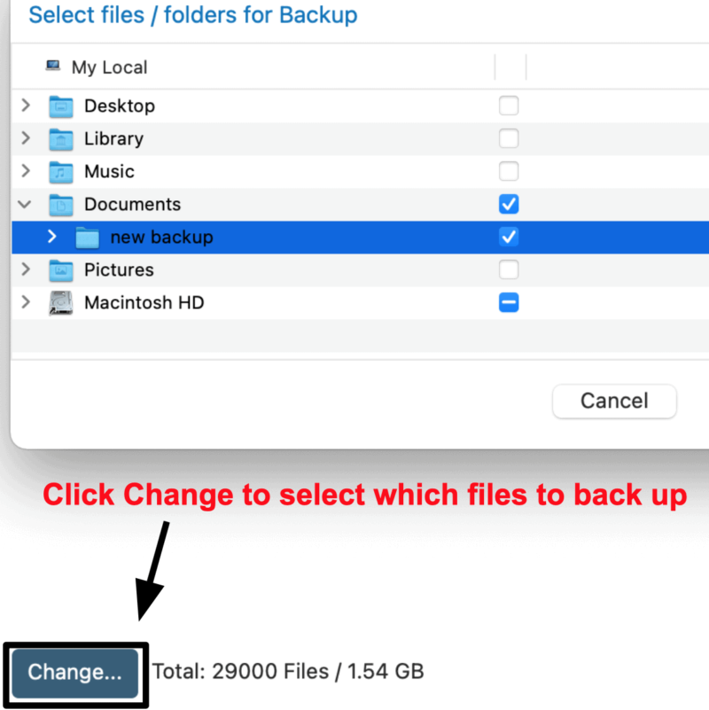 iDrive online backups settings
