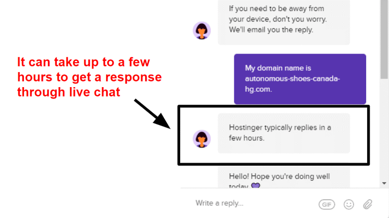 Screenshot of Hostinger live chat support.
