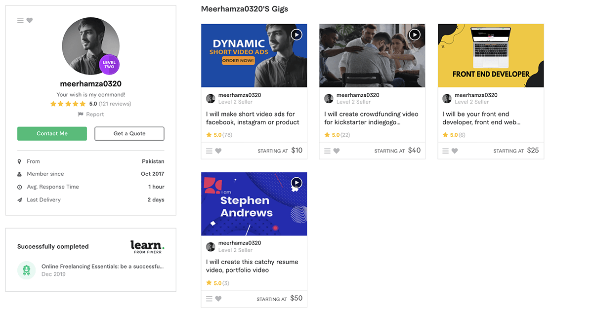 meerhamza0320 Fiverr profile