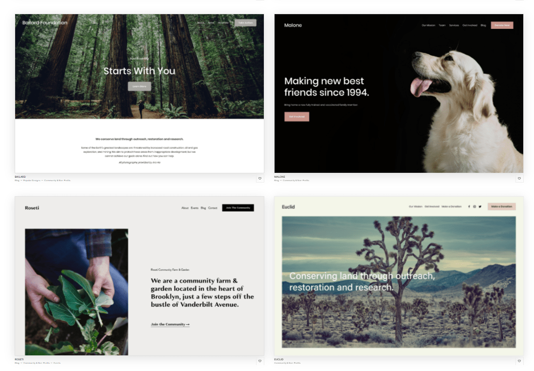 Squarespace nonprofit templates