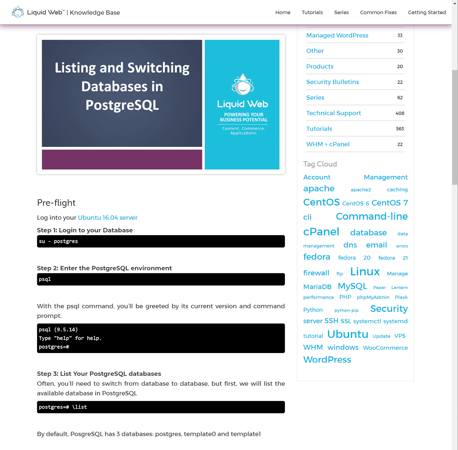 Liquid Web PostgreSQL hosting