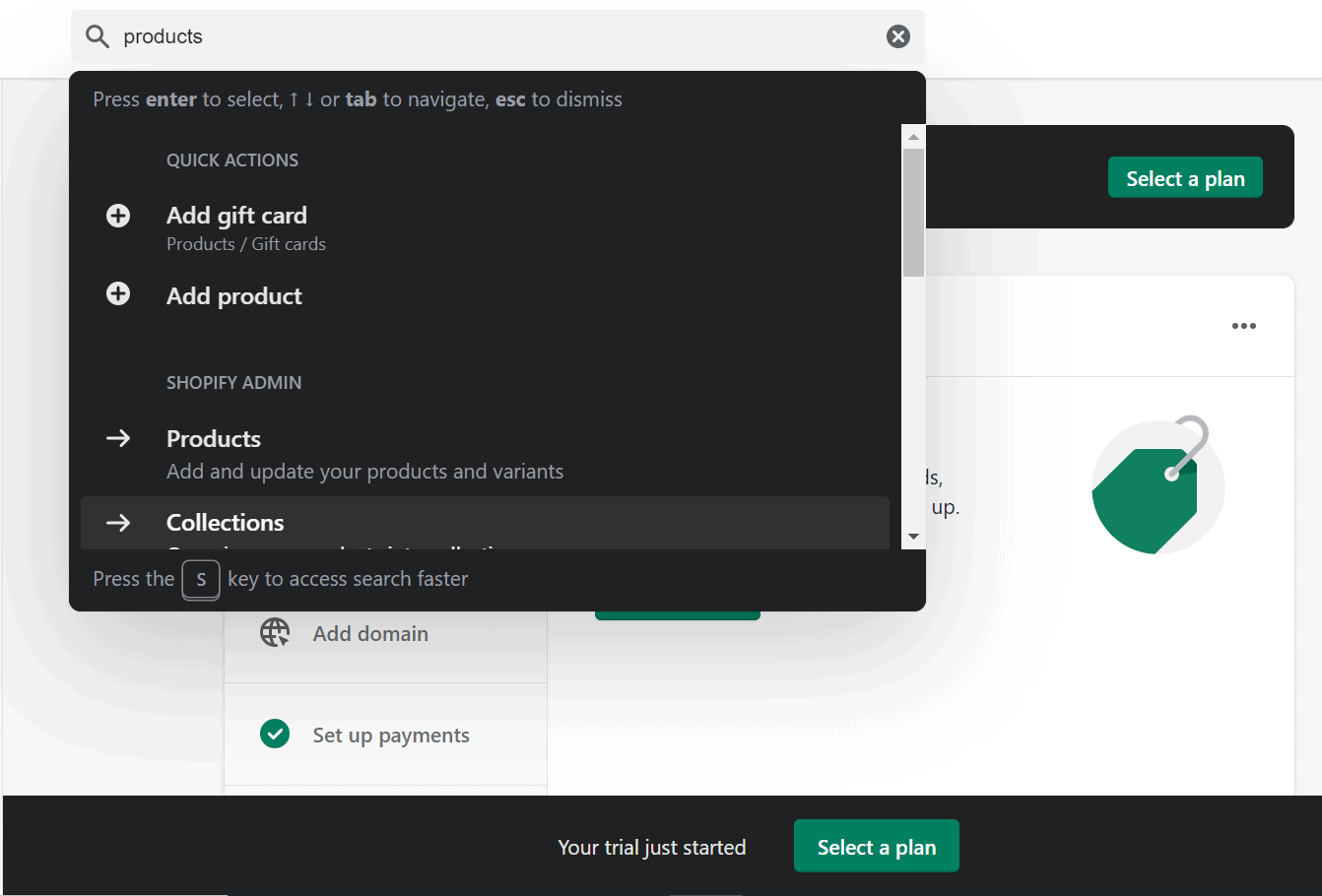 Shopify search bar