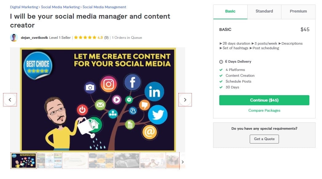 Fiverr screenshot - Dejan_cvetkovik Social Media Manager gig