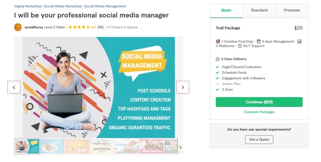 Fiverr screenshot - Socialfocus social media manager gig