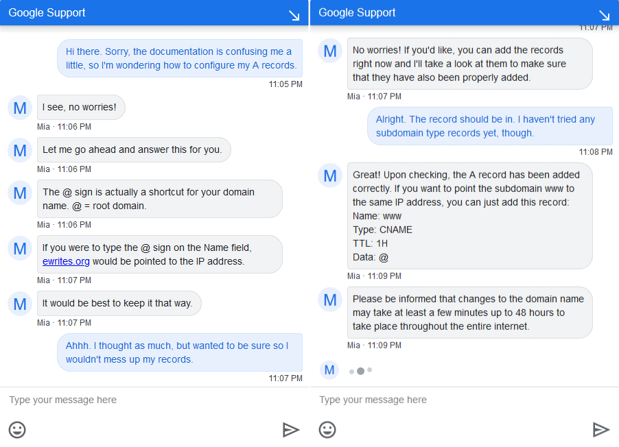 my chat with Google Domains support