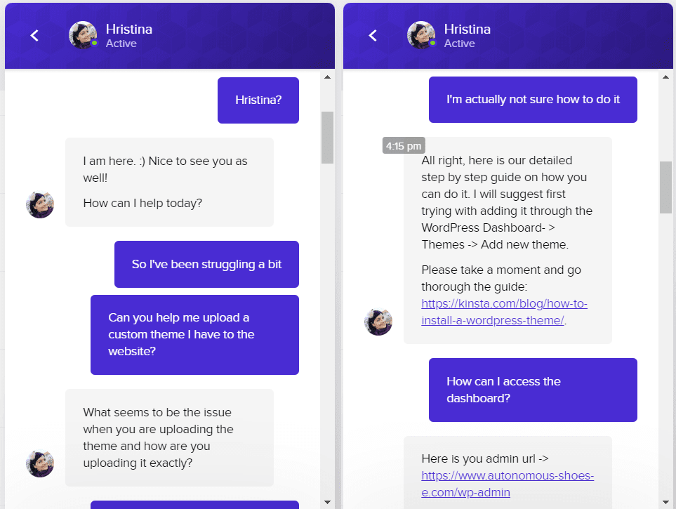 Kinsta - customer support