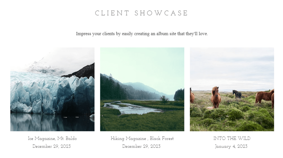 Wix You can create an album for every client. Client Showcase