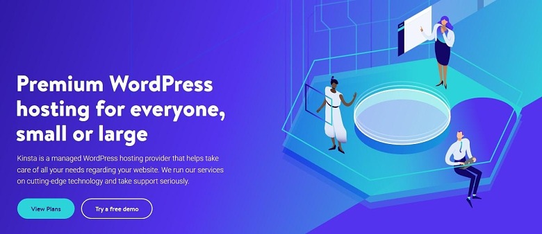 Kinsta homepage