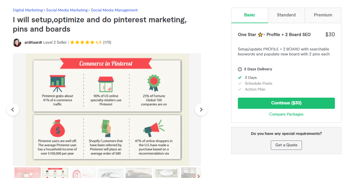 Fiverr screenshot - arditaardi pinterest marketing manager gig