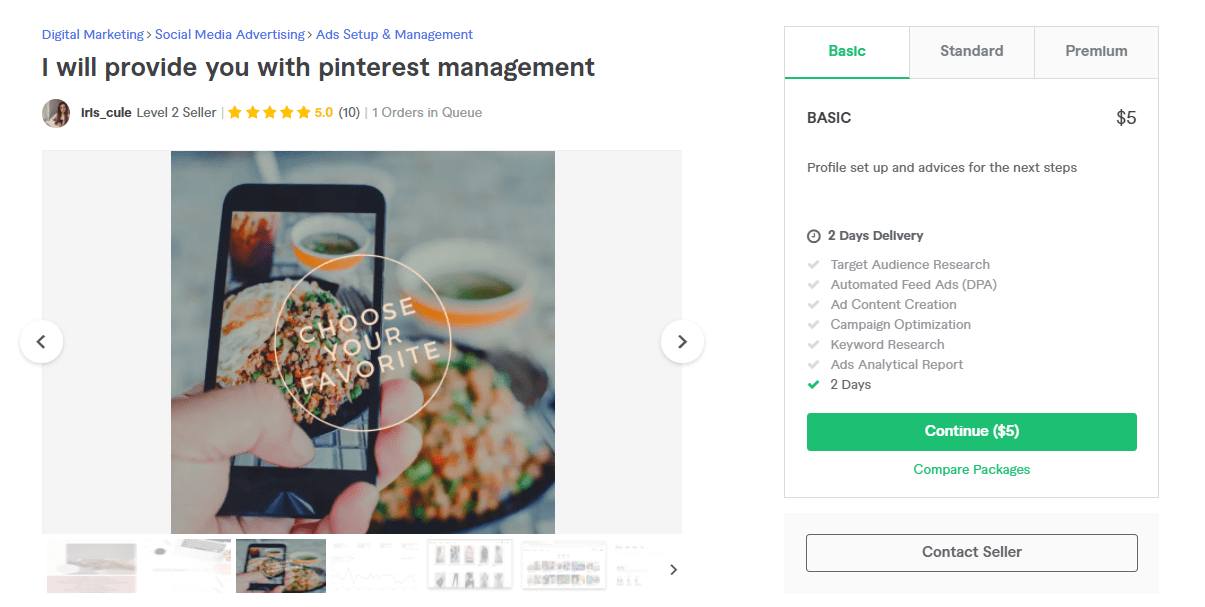 Fiverr screenshot - iris_cule pinterest marketing manager gig