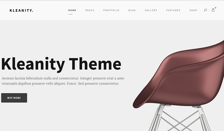 Kleanity WordPress theme from Theme Forest.