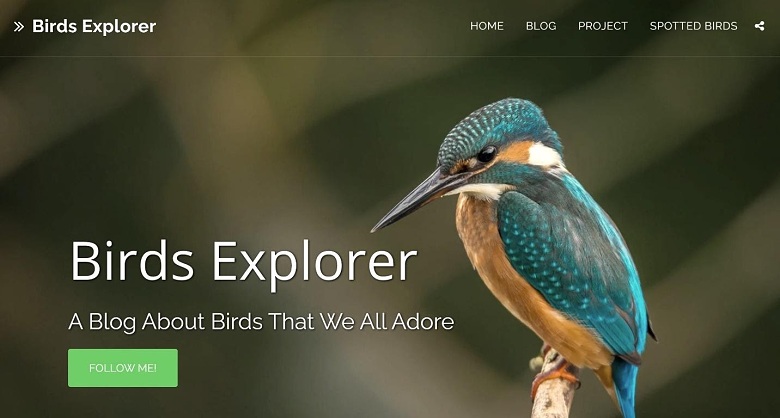 SITE123 Birds Explorer template